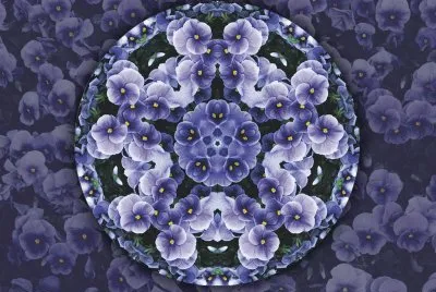 pansies