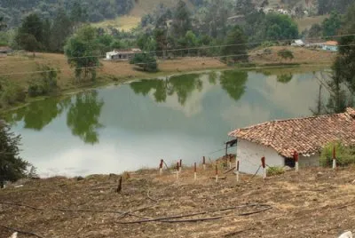 Laguna de GarcÃ­a, Pregonero, TÃ¡chira
