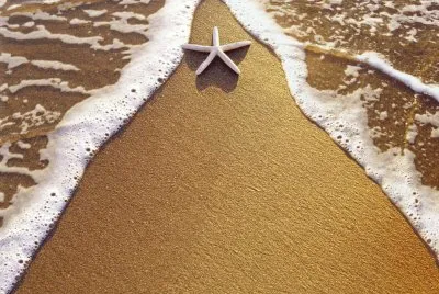 פאזל של estrela mar
