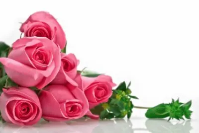 Ramo de Rosas
