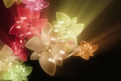 Flores