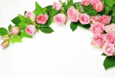Ramos de flores