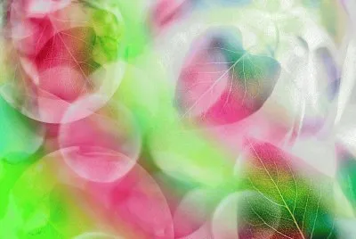 Colores de Hojas