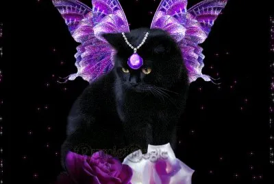 luna azul jigsaw puzzle
