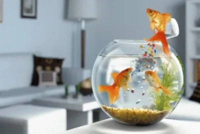 pescera