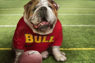 פאזל של Bulldog Gracioso