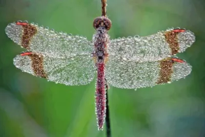 â™‚