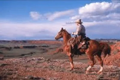 Wyoming Rancher