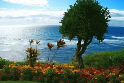 paisagem