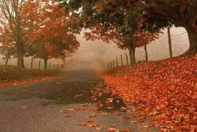 OtoÃ±o jigsaw puzzle