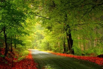 Camino jigsaw puzzle