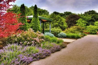 Jardin de colores