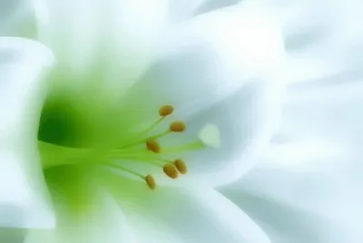 Natu