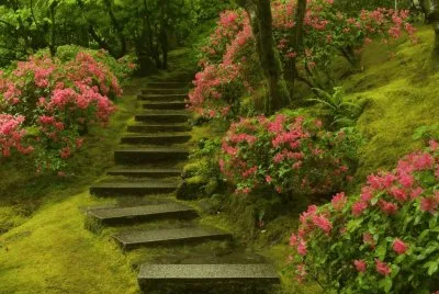 Jardin japones