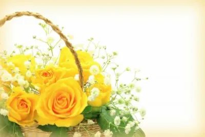 canasta de rosas jigsaw puzzle