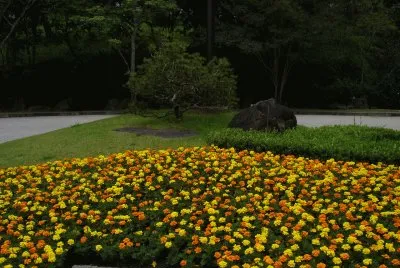 Jardim do Solo Sagrado, SP