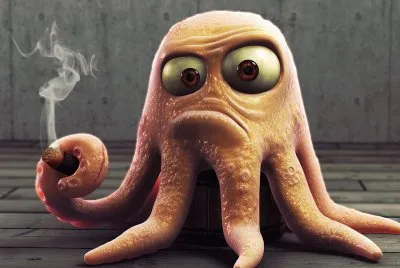 polvo