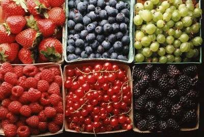 Fruit1wallpapers