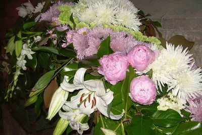 Flors