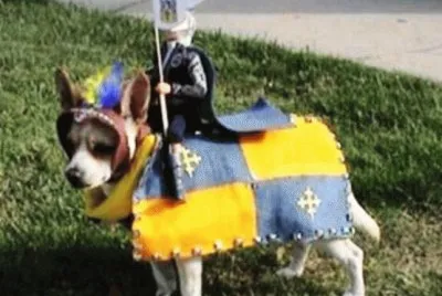 knight