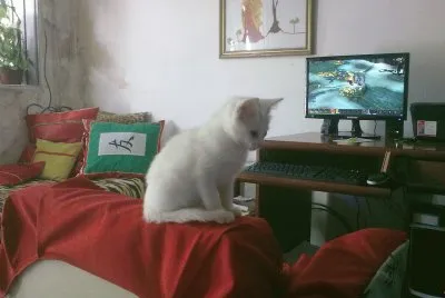 LULU