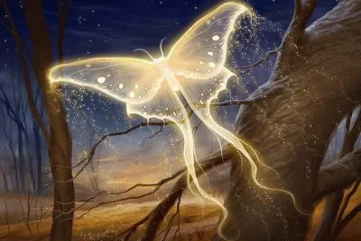 mariposa1