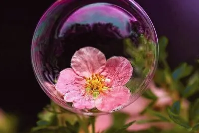 * jigsaw puzzle