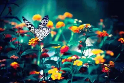 * jigsaw puzzle