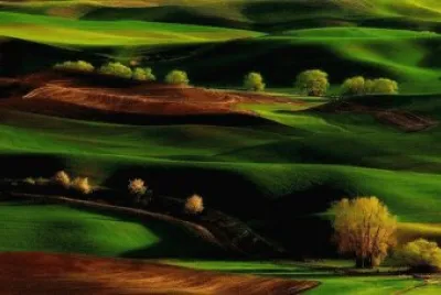* jigsaw puzzle