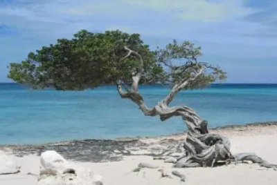 Maldives11