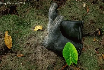 botas jigsaw puzzle
