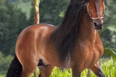 lugares