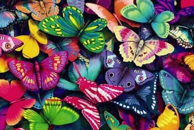 butterflies