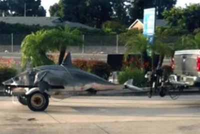 1323 Pound Mako Shark-Huntington Beach