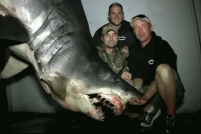 World Record Mako Shark Catch-June 3, 2013 HB