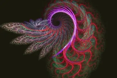 fractal seashell