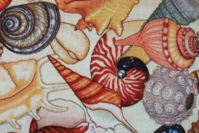 seashells