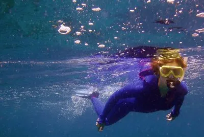 Purple Scuba Diver