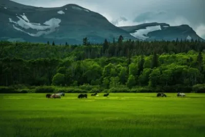 paisaje 12