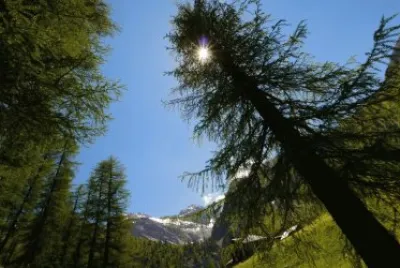 paisaje 18