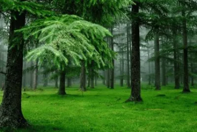paisaje 23