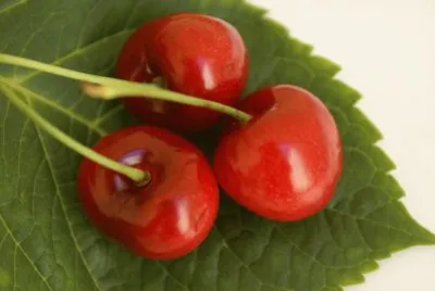 cerezas