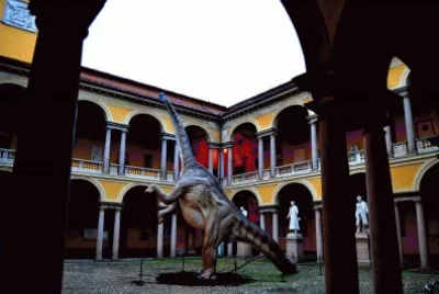 FaraÃ³n jigsaw puzzle
