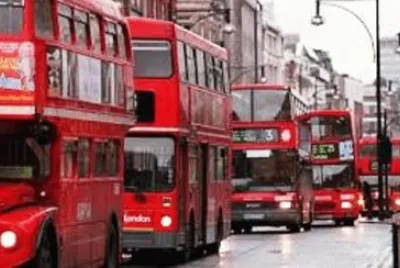 london buzzzzzz jigsaw puzzle