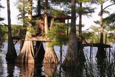 tree house.