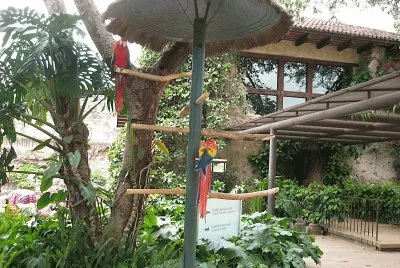 FaraÃ³n
