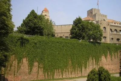 FaraÃ³n