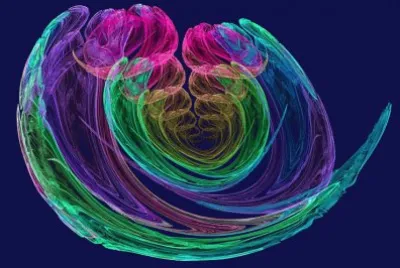 fractal xray
