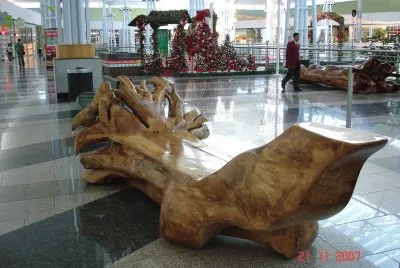 A trunk seat