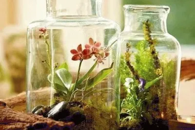 flores
